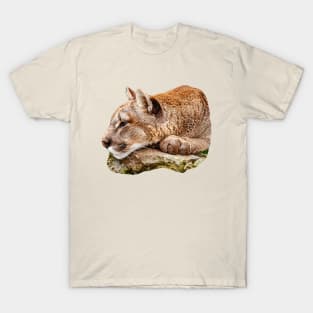 Just a Paws for thought Cougar T-Shirt